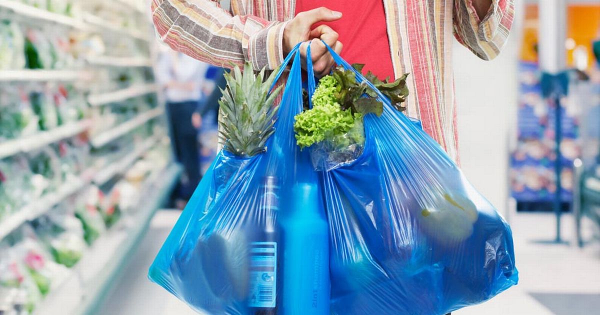 Paper, Plastic Or Reusable Shopping Bags - Kiệt Thành